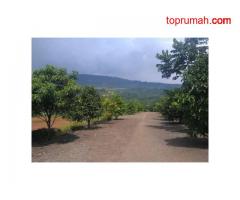 Dijual Lahan di Hambalang Sentul Bogor