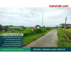 Tanah Murah di Pacet, View Pegunungan Istimewah