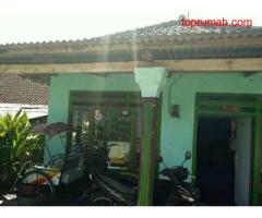 Rumah sederhana kota batu malang(Madewo apples)