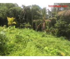 Jual tanah Ubud Gianyar Bali view sawah