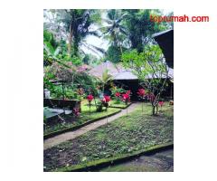 Jual tanah cocok untuk resort hotel villa DLL Gianyar Ubud Bali Bulevilla oner