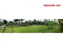 Tanah di Gianyar Bali(Madewo apples)