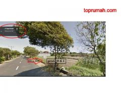 Dijual Tanah di badung Bali(Madewo apples)