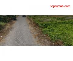 Dijual tanah jalan gunung salak kerobokan bali 103