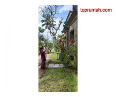 Villa (DIJUAL) Lokasi Gianyar Bali