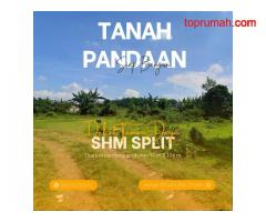 Investasi Properti Ideal: Tanah Strategis Taman Dayu di Pandaan