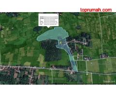 DIJUAL Tanah Sawah Kering Super Luas Startegis Murah di Randugong Kejayan Pasuruan