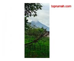 Dijual Tanah Luas Bonus Rumah Startegis View Cantik Dramaga Bogor