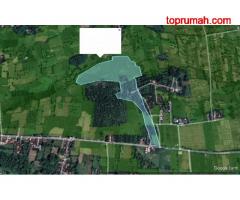 Jual Tanah Murah Sangat Luas Area Randu Gong Pasuruan