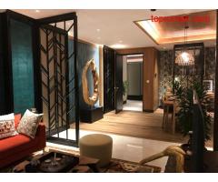 Apartemen Elevee Hunian Pet Friendly di Alam Sutera