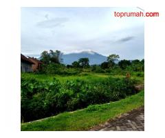 Puncak Kenyamanan: Tanah Kavling Villa Sumbersuko Asri dengan View Pegunungan