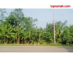 Jual Tanah 4.000 m2 di Sajira Lebak Banten Dekat Alun-Alun Sajira, Pasar Sajira, SMA Negeri 1 Sajira